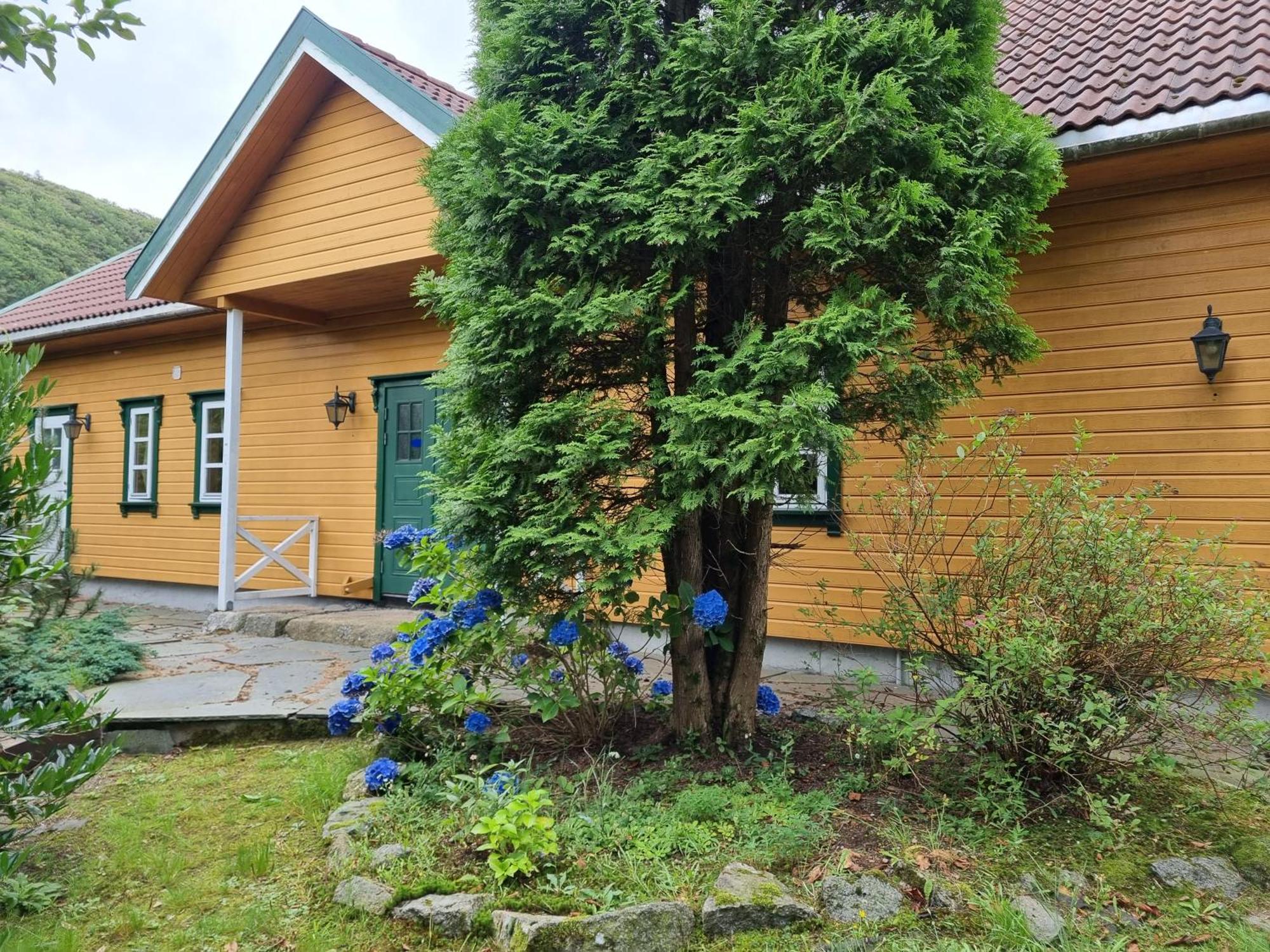 Hausvikstranda Lyngdal Cameră foto